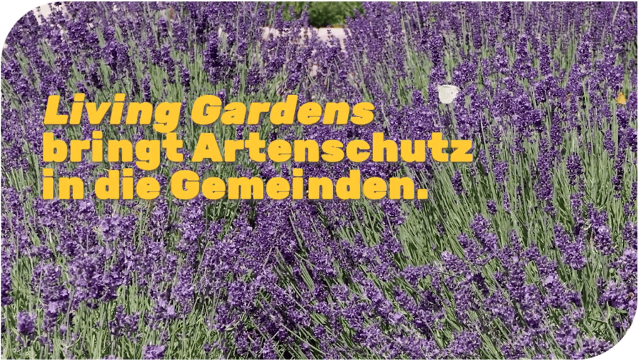 Living Gardens - Lebensräume im Garten für gefährdete Arten in Österreich
