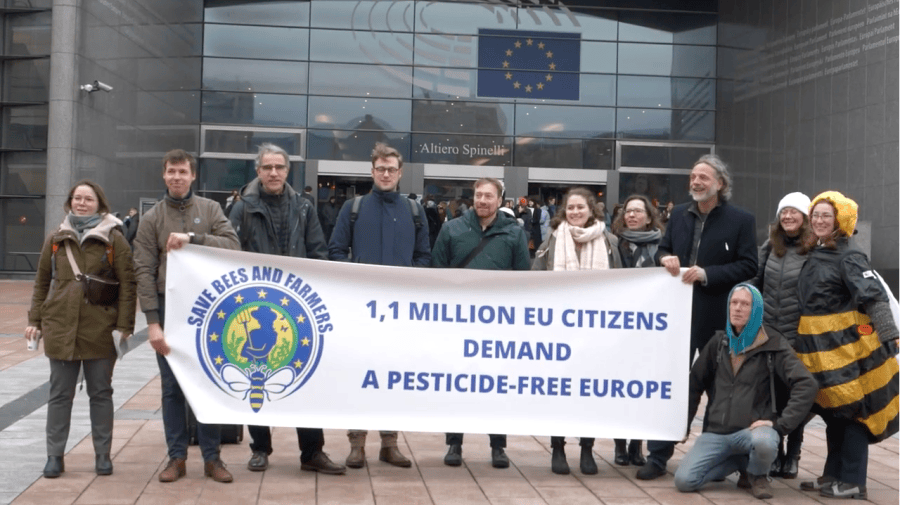 "Bienen und Bauern retten" - Hearing im EU-Parlament