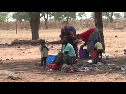 Baumwolle - Fluch oder Segen?