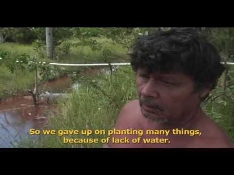 ALUMINIUM INDUSTRY - THE FOREST TURNS TO DUST