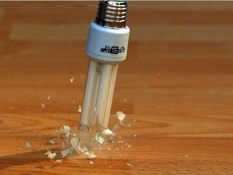 BULB FICTION (2011)