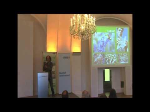 Bienenkonferenz: Ein Garten für Wildbienen stellt sich vor