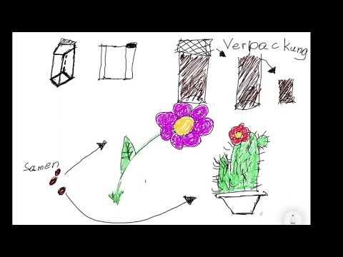 Gewinner-Video Wettbewerb: "Less is Best": Modulare Mittelstufe Aspern