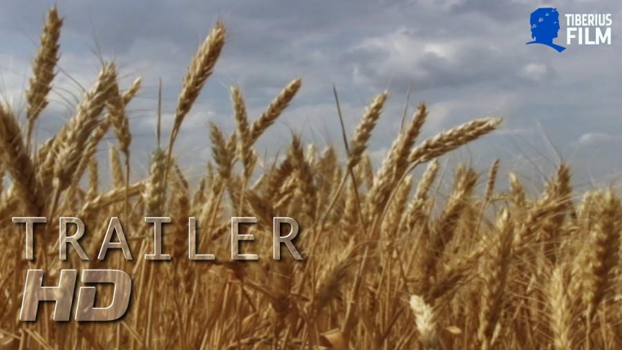 Du bist, was du isst (2008)