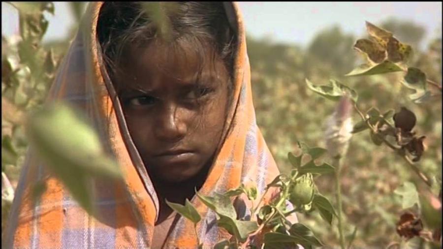 Leben ausser Kontrolle. Von Genfood und Designerbabies (2004)