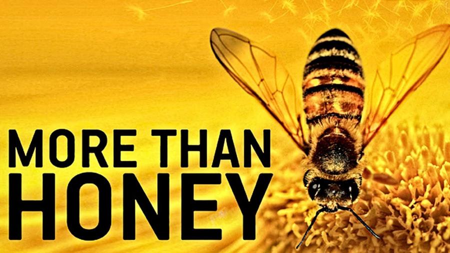 More than Honey (2012)