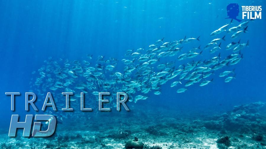 Die unbequeme Wahrheit über unsere Ozeane (2009)