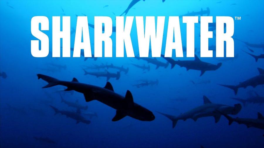 Sharkwater - Wenn Haie sterben (2007)