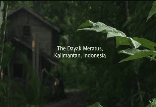 The Dayak Meratus on Vimeo