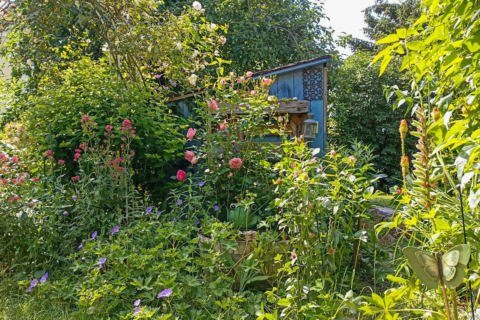 Der wild blühende Naturgarten in Wien Penzing GLOBAL 2000