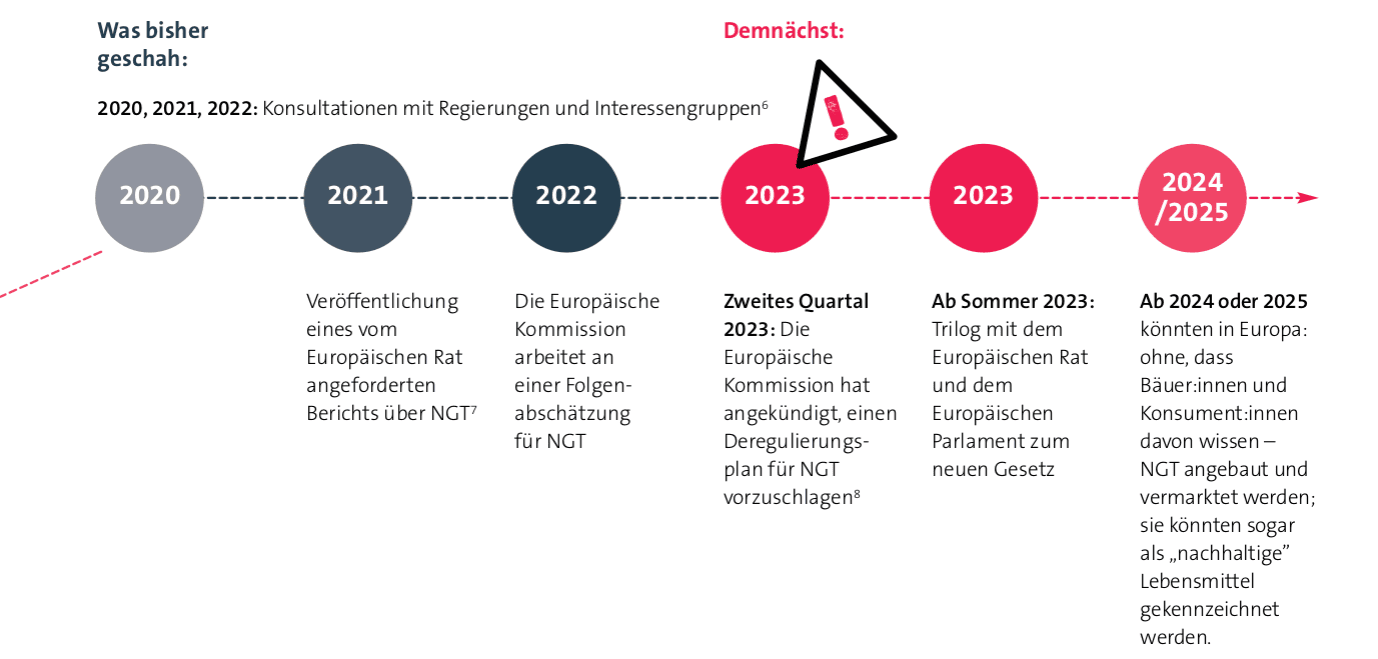 knstliche pfingstrosen kaufen Knstliche Pfingstrose