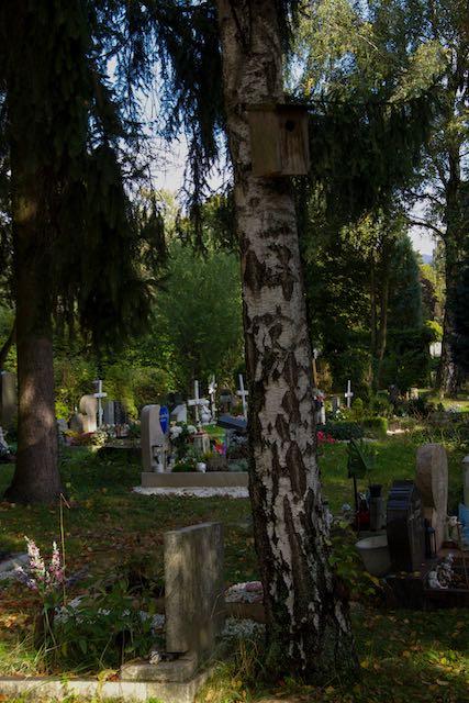 Nationalpark Garten Familie im Interview St. Barbara Friedhof in Linz