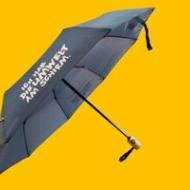 Ein dunkelblauer Klappschirm mit Holzgriff ist vor einem leuchtend gelben Hintergrund geöffnet. Der weiße Text auf dem Schirm lautet: „Ich habe die Umwelt am Schirm."