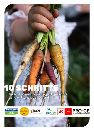 cover des Reports: "10 Schritte"