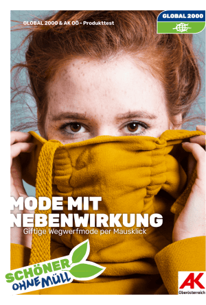 Cover temu&shein Test 2025