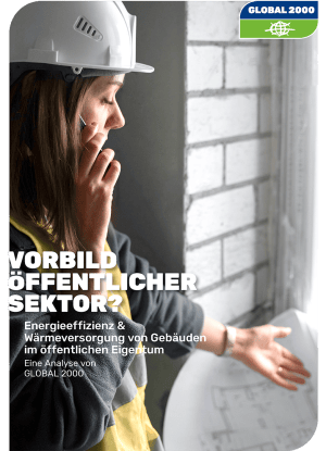 Teaser Report Vorbild öffentlicher Sektor?