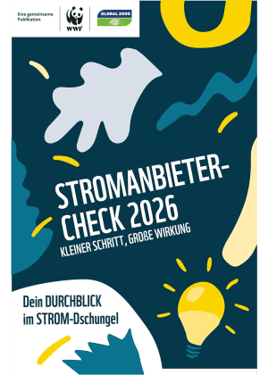 Cover Stromanbieter-Check 2026