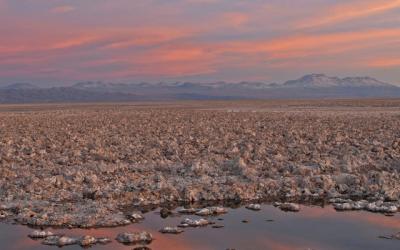 Salzlacke in Chile - Salar de Atacama