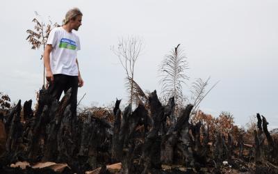 Verbranntes Land in Pekanbaru