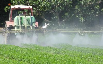 Pestizide am Feld