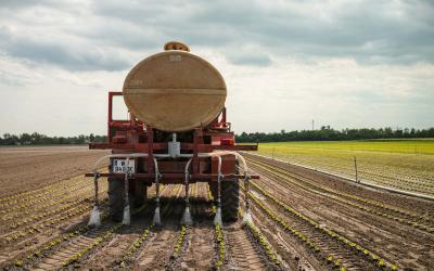 Traktor am Feld
