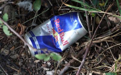 Gelitterte Red Bull Dose in der Natur Gelitterte Red Bull Dose in der Natur