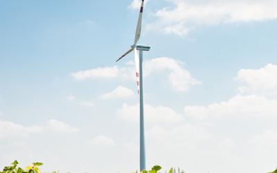 Windrad im Windpark Simmonsfeld mit Sommenblumenfeld