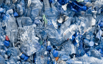 Vielzahl von eng zusammengedrückten Plastikflaschen