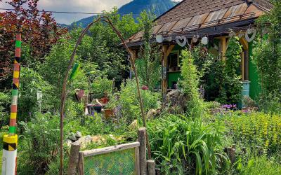Der wild blühende Naturgarten in Wien Penzing GLOBAL 2000