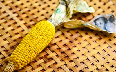 Patente und Neue Gentechnik