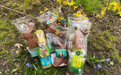 Sechs Sieger-Schokohasen auf einer Wiese mit Frühlingsblumen. 