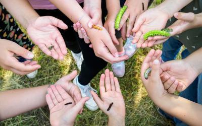 Kinder halten Raupen in der Hand