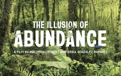 The Illusion of Abundance