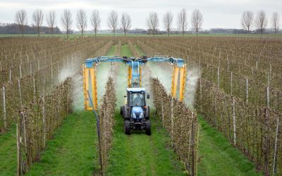 Pestizide werden auf Apfelplantage gesprüht 