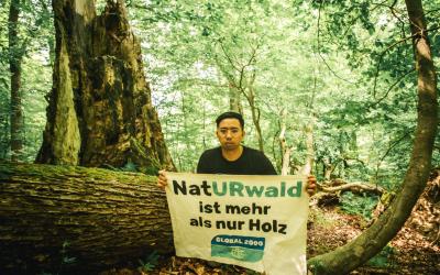 Aktivist sitzt am Waldboden und hält ein Plakat in die Kamera, worauf "Naturwald ist mehr als nur Holz" steht.