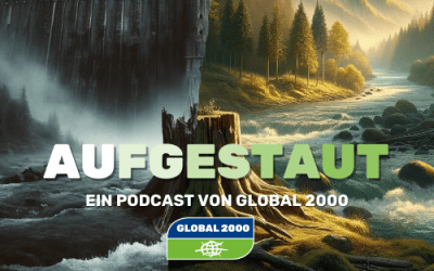 Eine illustrierte Darstellen von einem Wasserkraftwerk auf der linken Seite und auf der rechten Seite eine Naturlandschaft in den Bergen. Darüber der Schriftzug "Aufgestaut - Ein Podcast von GLOBAL 2000"