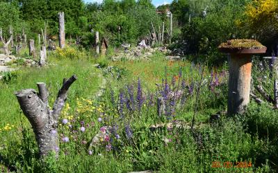 Eine Garten mit vielen Blumen und Baumstämmen, die ein herrliches Biotop für verschiedene Tiere bieten.