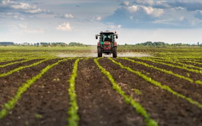 Pestizide werden auf einem Feld versprüht