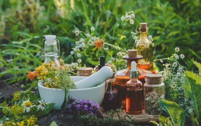 Naturkosmetik im Gras