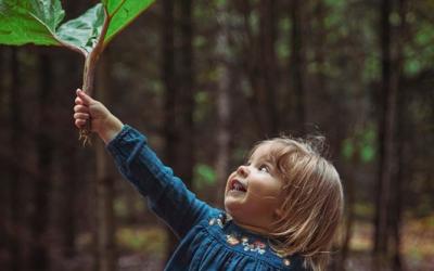 Kleinkind steht im Wald und hält ein großes Blatt in die Luft