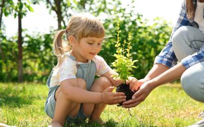 Mädchen setzt mit Hilfe eines erwachsenen eine Pflanze in den Boden ein