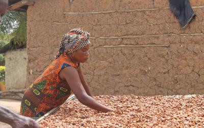 Frau arbeitet mit Kakaobohnen