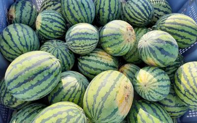 Wassermelonen mit Bodenfleck