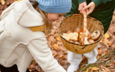 Kind sammelt Kastanien in herbstlichem Wald