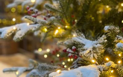 Tanne mit Schnee und Lichtern