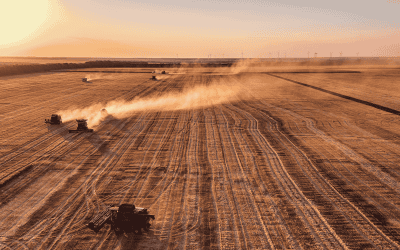 Mehrere landwirtschaftliche Geräte fahren über ein Feld über rötliche Erde