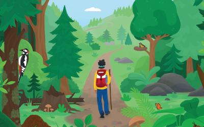 Illustration: Mensch mit Rucksack geht durch Wald, man sieht Bäume und einen Specht