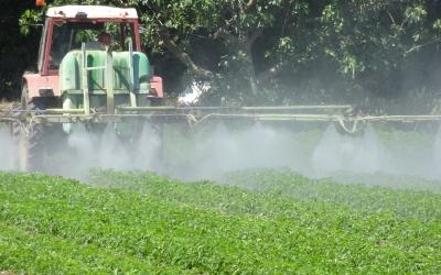 Traktor spritzt auf grünes Feld