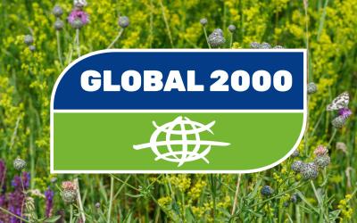 Logo von GLOBAL 2000 vor dem Hintergrund einer Wiese mit Blumen und Schmetterlingen