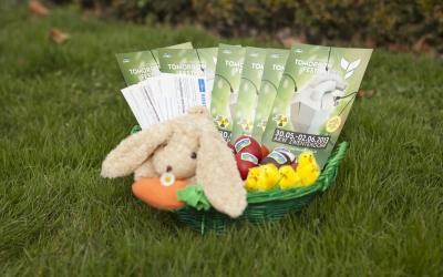 Osternest auf Rasen mit Plüschhasen, Eiern und Gutscheinen